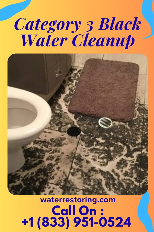 Category 3 Black Water Cleanup in Keyport, NJ
