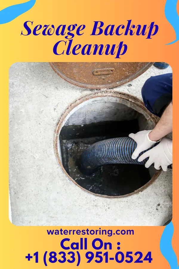 Sewage Backup Cleanup in Keyport, NJ