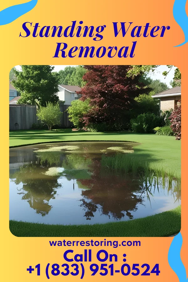 Standing Water Removal in Keyport, NJ